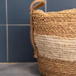 Cactus Comfort