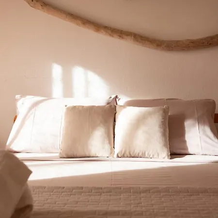 Cactus Comfort Apartment *