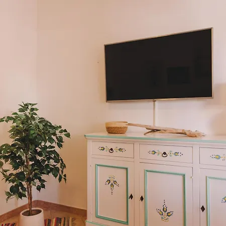 Cactus Comfort Apartment *