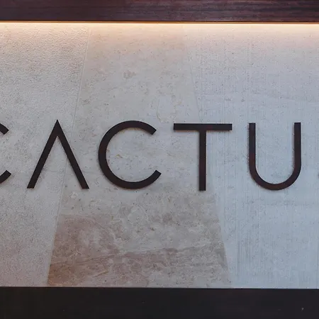 Cactus Comfort 公寓 阿兰奇湾城